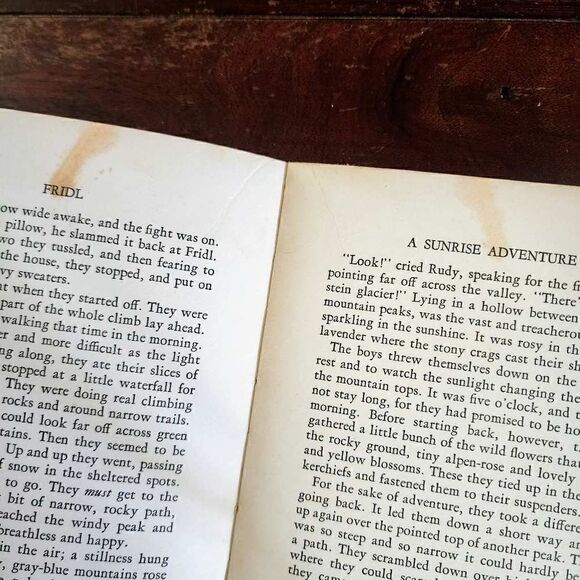 Fridl A Mountain Boy Washburne 1939 book - Picture 10 of 11